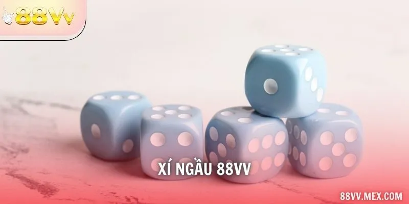 xí ngầu 88VV